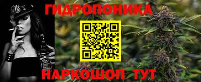 мяу мяу мука Гусь-Хрустальный