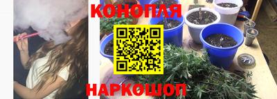 стаф Гусев