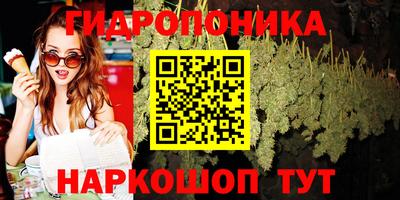 стаф Гусев