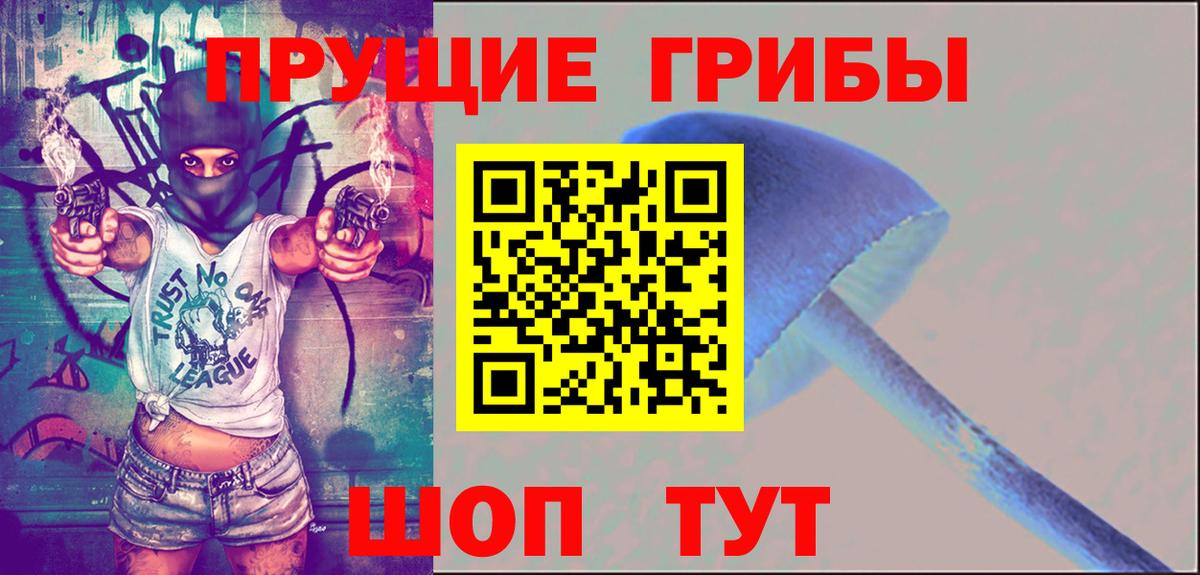 Вятские Поляны  Псилоцибиновые грибы Psilocybe  Вход с VPN  Галлюциногенные грибы прущие грибы 